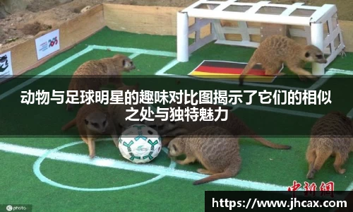 动物与足球明星的趣味对比图揭示了它们的相似之处与独特魅力